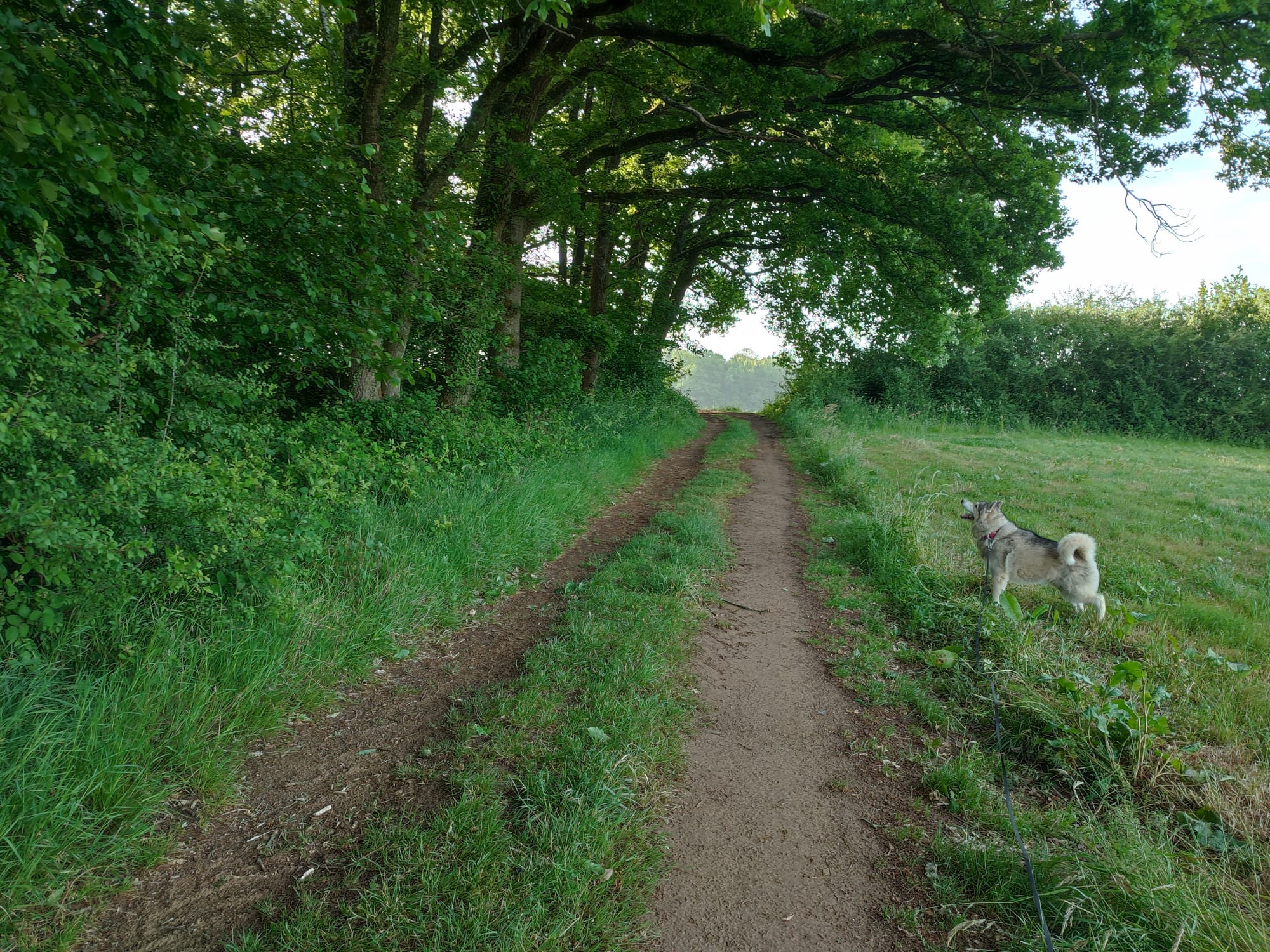 environnement extérieure chalet des sarteaux